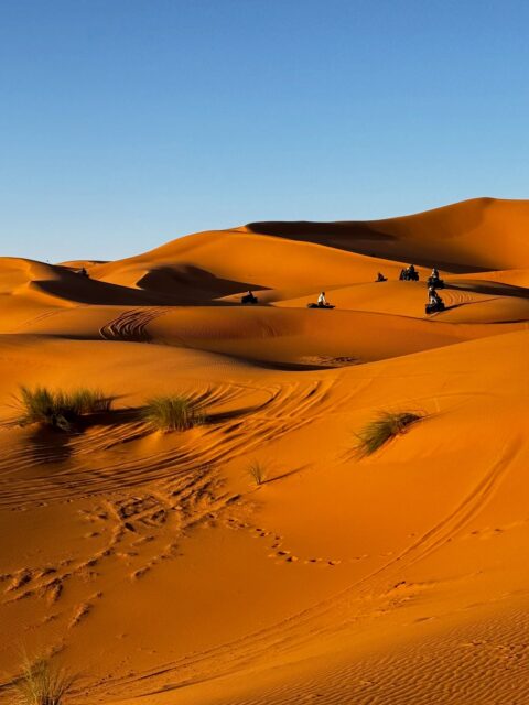 SAHARA DUNES 

#sahara #dunes #merzouga #saharadesertmorocco