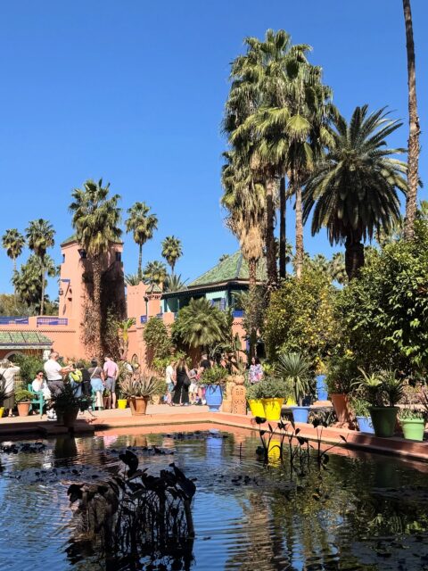 A must see garden in Marrakech 🌴
📍Le Jardin Majorelle

#lejardinmajorelle #marrakech #lejardin