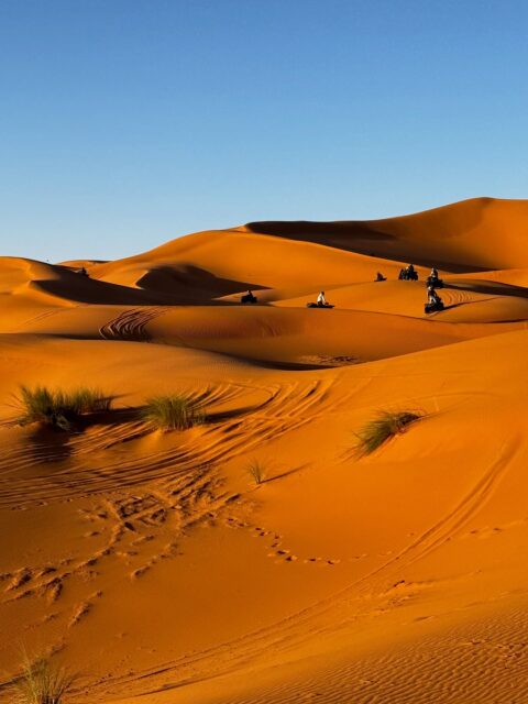 SAHARA DUNES 

#sahara #dunes #merzouga #saharadesertmorocco
