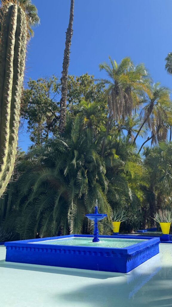 Μαρακές 3 ημέρες: Τι να κάνεις & να δείς 6 Jardin Majorelle